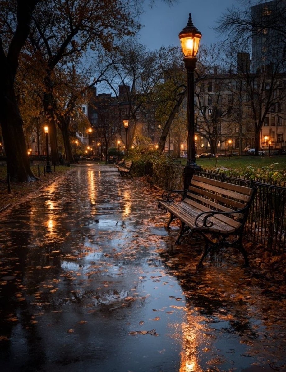 Alina_bloom79's tweet photo. day + night and rainy + autumn weather.. https://t.co/CzEnoXu1A2