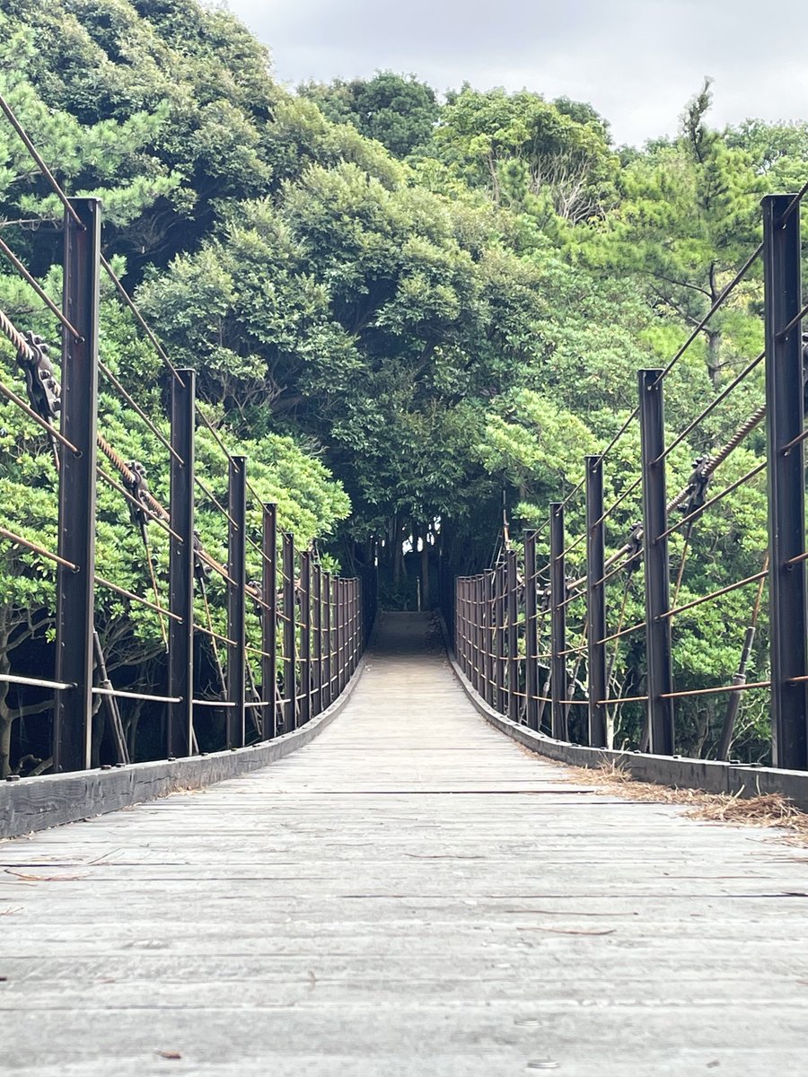 HIGAshism_'s tweet photo. マニアック
#大塚紗英 https://t.co/zFr4f1H0dR