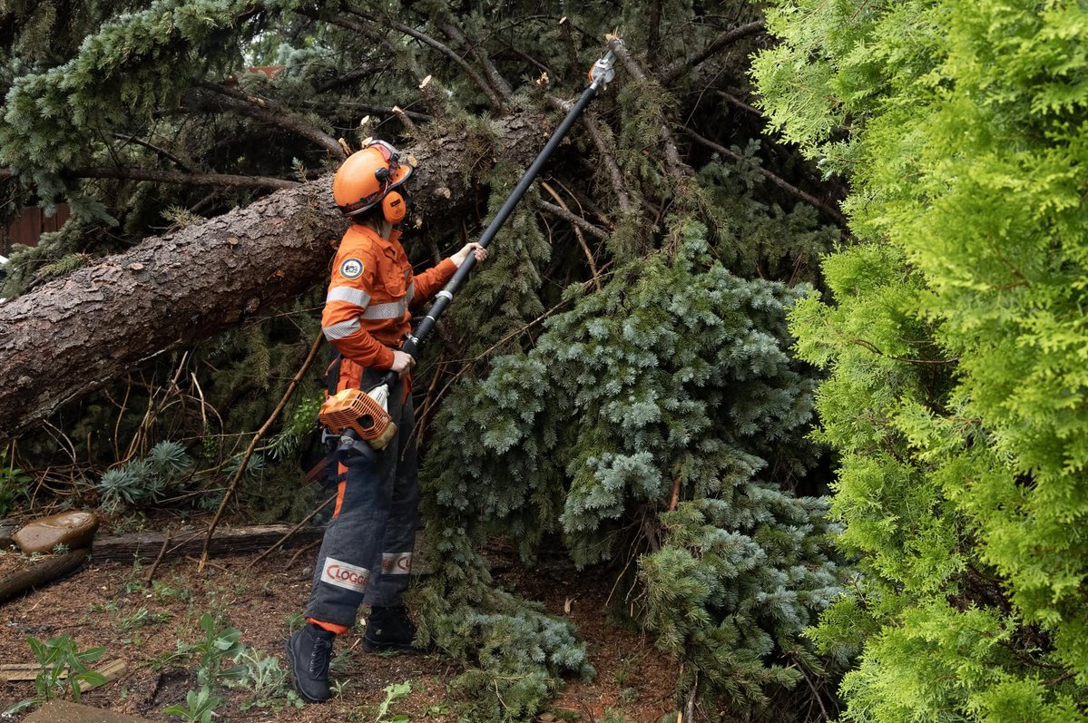 ACT_ESA's tweet photo. A huge thank you to our volunteers who have been working hard to help the Canberra community in difficult, wet conditions since yesterday afternoon.

So far more than 50 requests for assistance have been received by the ACT State Emergency Service as a result of the recent heavy rainfall. These requests have all now been completed by our volunteer units.

The requests for assistance have come from every corner of the capital, and incidents have included:
🪾 Trees and tree branches down across driveways, roads and on houses;
🏡 Garages, gardens and underground car parks being flooded;
💧 Water coming through light fittings in ceilings due to blocked gutters outside.

The wet weather has eased for now, but storms remain active in the region and still pose a potential risk this evening and across the weekend. Please remember to:
⚠️ Take it easy on the roads and drive to the conditions;
⛈️ Keep away from stormwater drains and catchments;
🚗 Move your car under cover and away from trees;
🔒 Secure or put away loose items;
🚧 Never drive, walk or ride through floodwater.

If you need support during a storm or flood, call the ACT State Emergency Service on 132 500.

For weather updates, follow the @BOM_ACT 

For warnings and incident updates visit the ESA website: https://t.co/CbaphXIGeV

📷 File photos