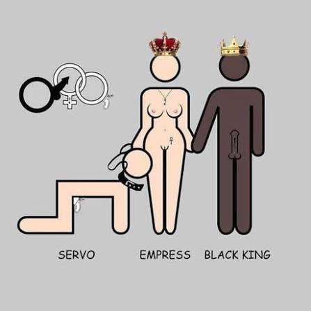 BlackOrderGrCy's tweet photo. Κάθε Hotwife 🔥♠️ αναγκάζεται να αναζητεί διαρκώς τους επιθυμητούς οργασμούς που ο αδύναμος Cuckold 😈🤘🏿🦌 σύζυγος δεν μπορεί να δώσει!

Οι Ισχυροί 💪🏿 Μαύροι Ταύροι 👑🐂🤴🏿 (Strong 💪🏿 Black Bull)μπορούν να βελτιώσουν μια σχέση 😉

#Cuckold

#Cuckolding

#BBC

#Hotwife

#BlackBull https://t.co/qL6OBw1ngu