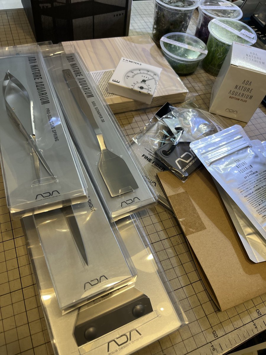 aquarium_time's tweet photo. ちょろっとada入荷です✨ https://t.co/pPiIb8flch