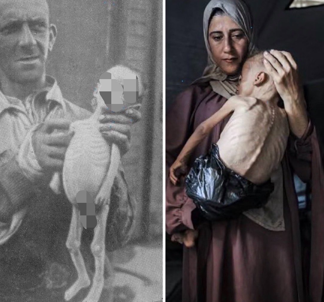 mhdksafa's tweet photo. The difference between Gaza and the Warsaw Ghetto in 1945 is that the world still has the opportunity to stop the starvation and genocide in Gaza. https://t.co/diqPbJLZHo