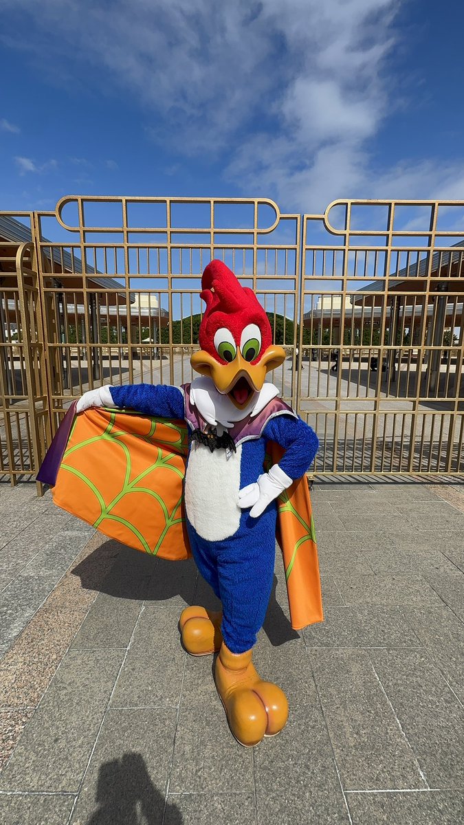 MTC0207's tweet photo. #USJファン
 9.30
ウッディ、ウィニーどっちにもお写真いただけて幸🍀*゜ https://t.co/ySEoPKyO8W