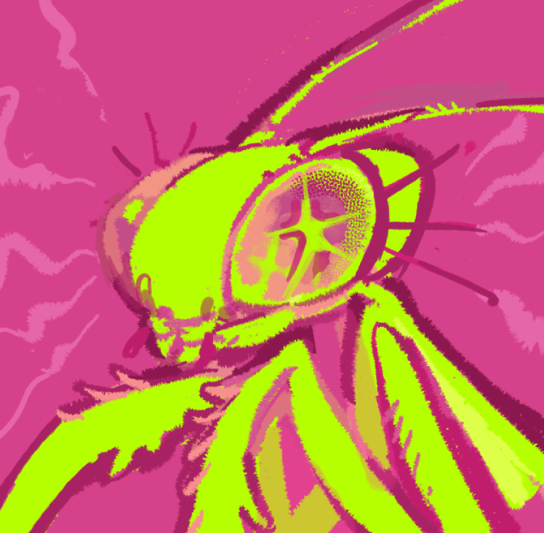 mipexch_'s tweet photo. mantis friend(?) https://t.co/k3UIPAjWkQ