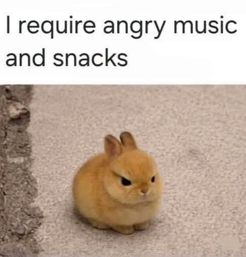 RockLovesMe2's tweet photo. My inner animal. 😡🍫😅 https://t.co/vCA8HEggL7