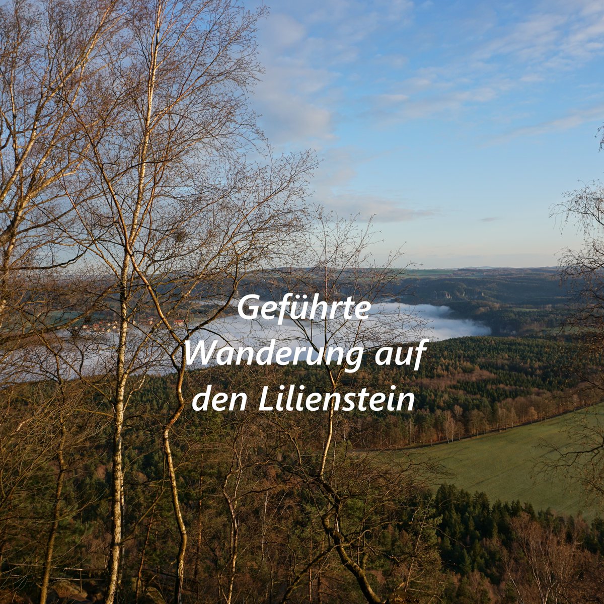 thaysanntos__'s tweet photo. Geführte Wanderung zum Lilienstein und Gamrig am 26. 09. 2026. Start 9:45 Uhr am Fähranleger Halbestadt, Königstein. Ca. 10 km, 5 Std., 330 Hm. Ende in Rathen, Rückfahrt per S-Bahn. 8 €/Person, Kinder bis 14 frei. Anmeldung empfohlen. https://t.co/6HOYZJ48IA