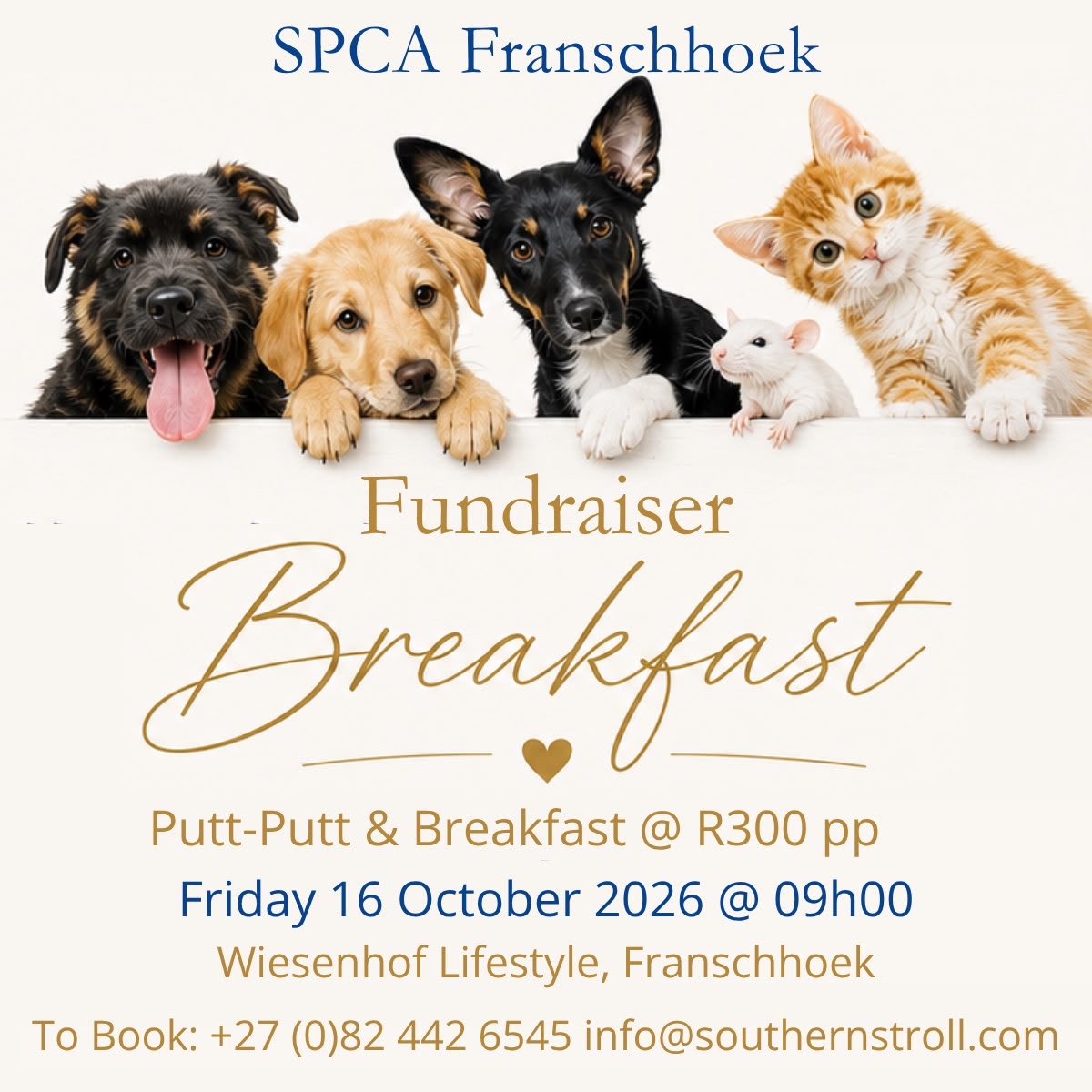 4KobusWiese's tweet photo. Please support!🙏 https://t.co/OPSsN226kd