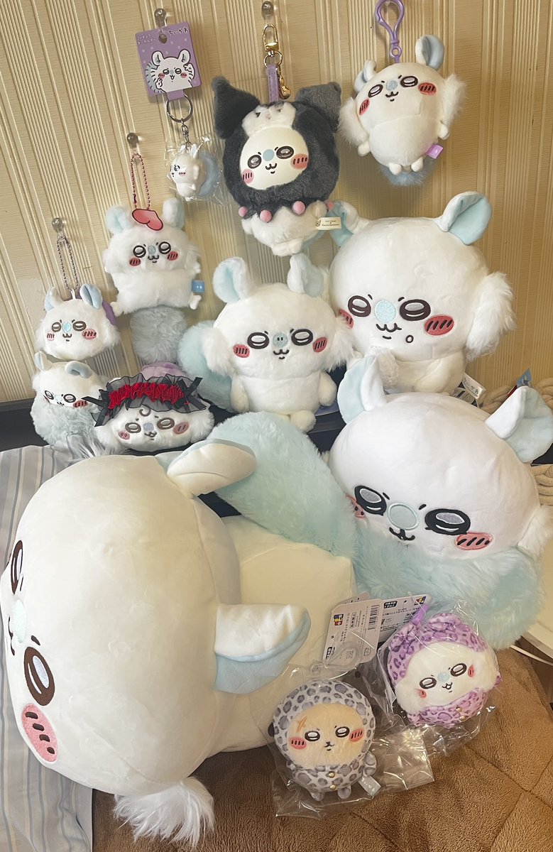 day_72sf's tweet photo. ここまできた
モモちゃんほんまにかわいい
癒される〜🩵 https://t.co/Kg1YJbBGkB