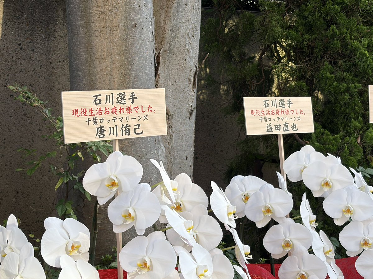 showup1242's tweet photo. 【石川雅規投手に #60n】
神宮球場正面入り口には、多くの関係者からスタンドフラワーが届いています。
▪︎前監督・高津臣吾さん
▪︎CWS・村上宗隆選手
▪︎ロッテ・唐川侑己投手(今日引退試合)
▪︎ロッテ・益田直也投手
#ショウアップナイター https://t.co/IgS6IxNixa