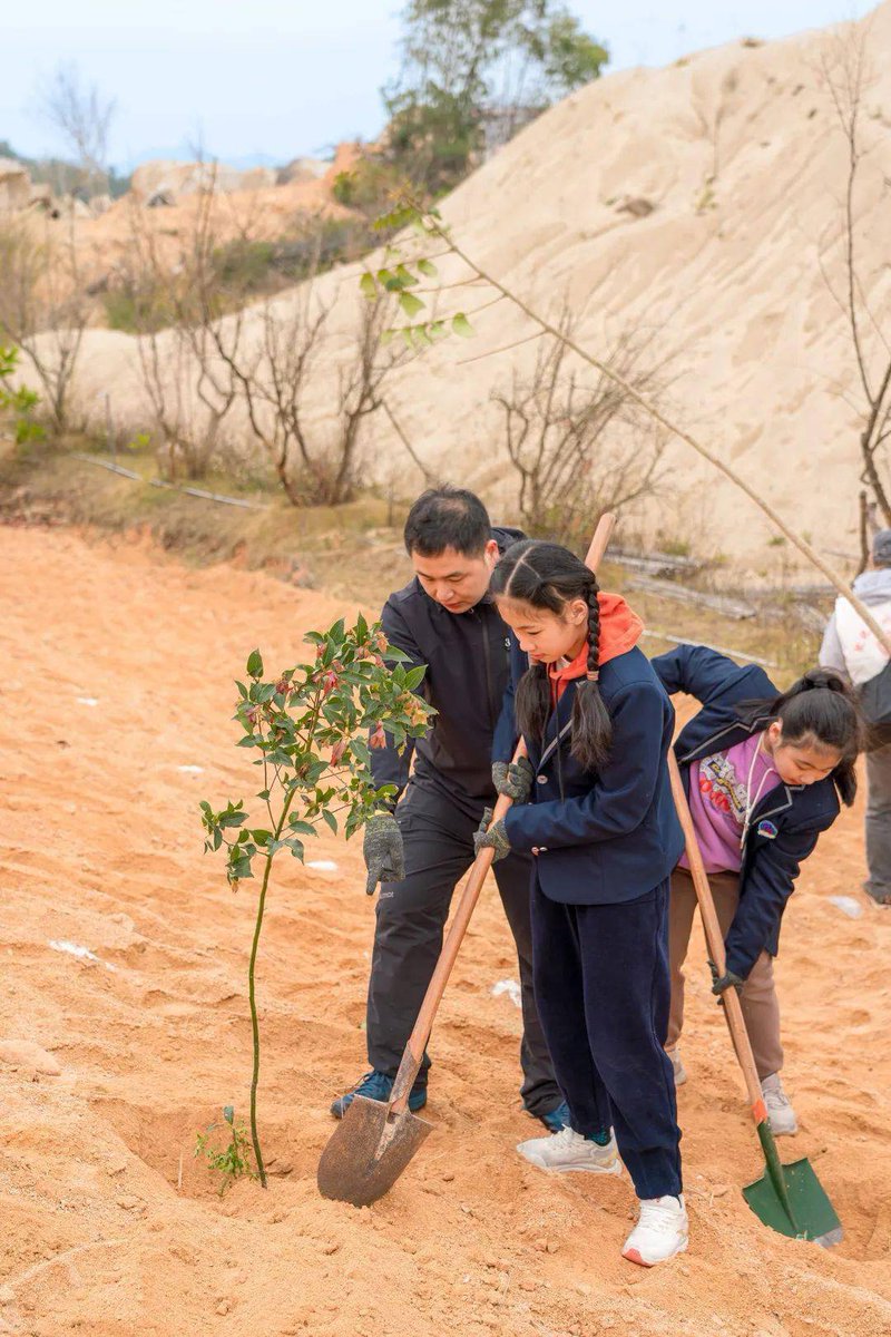 SummerLeannpx's tweet photo. únete a nuestra jornada de plantación de árboles este sábado en el parque central! Ayuda a cuidar el medio ambiente con vecinos de tu comunidad. Te esperamos de 9 a 12 horas. https://t.co/K2PIL8xaPR