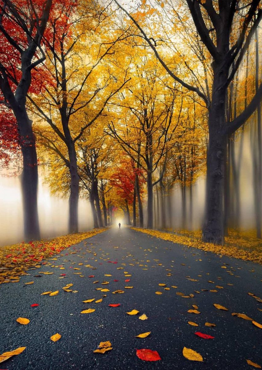 Leonor08159041's tweet photo. Autumn shades 🍂💛🍂

Happy weekend 🫶💋 https://t.co/K6DBA1ELKn