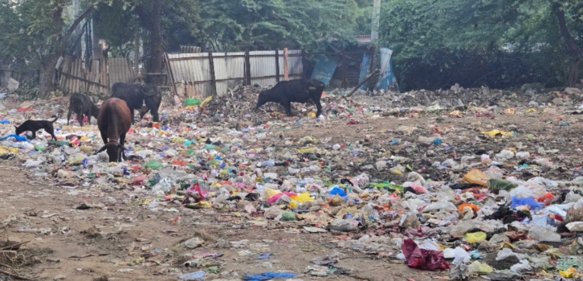 RakeshK32229480's tweet photo. Can we nuke delhi ncr ??? 
This region has no signs of civilization left .
All photos taken at distance of just 500 meters. https://t.co/iWXxbjYT5x