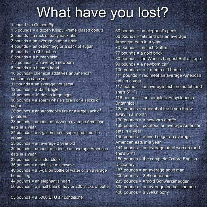 silver_mili's tweet photo. How much have y‘all lost since your sw? I have lost an average housecat, lol. https://t.co/N1pbR5ius4