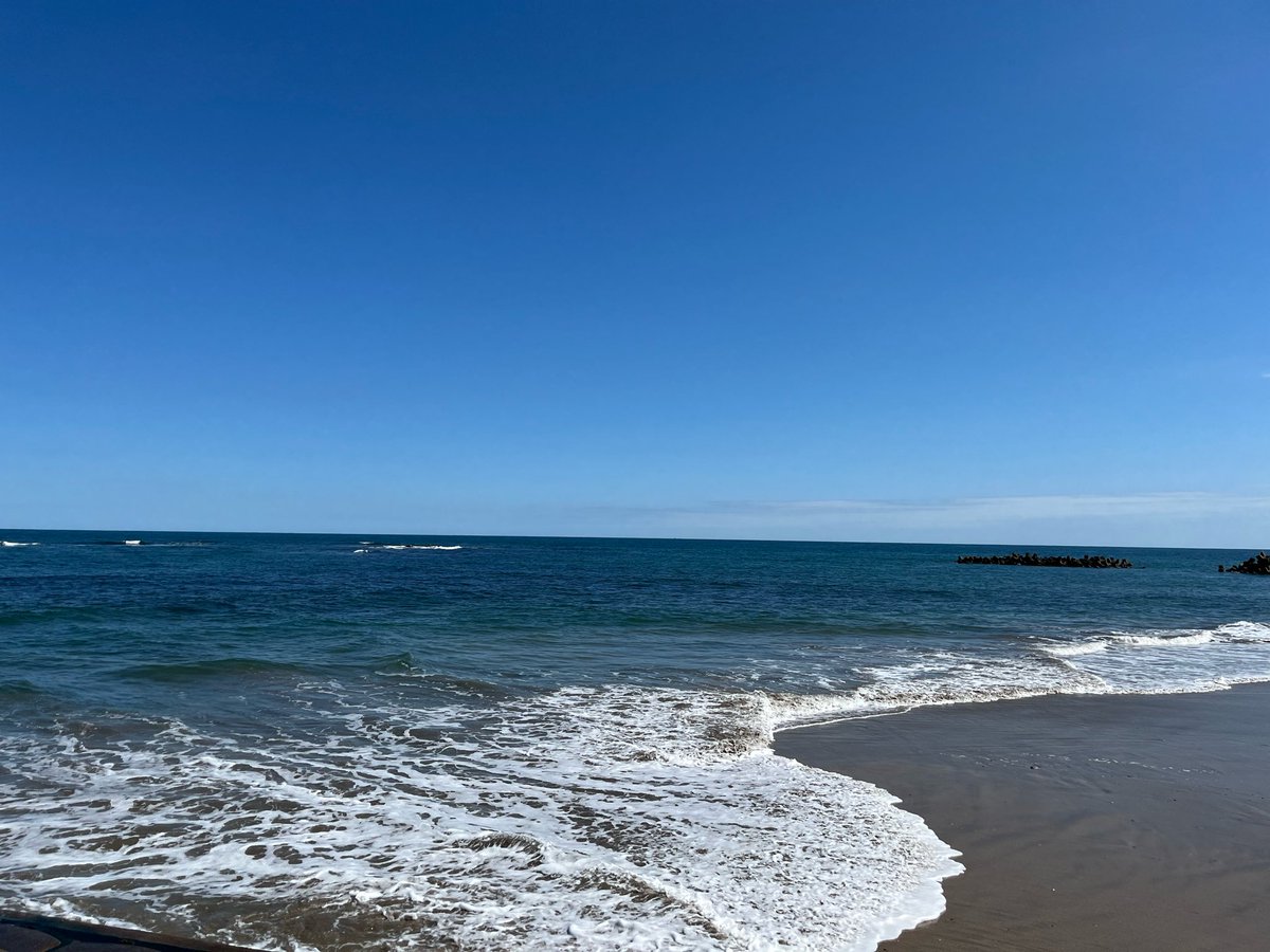 shidakao's tweet photo. 今海までの散歩から戻ってきました
今日は快晴
日差しは真夏だけど空気は秋
海も穏やかで気持ちいい海散歩でした
途中の道端にはアサガオの花が
もう昼前だし晴れてるのに
しっかり咲いてる
気温が低いからかな？
花びらに花粉付いてるけど
ライト付けて虫寄せしたのかな？ https://t.co/B28as0vPZS