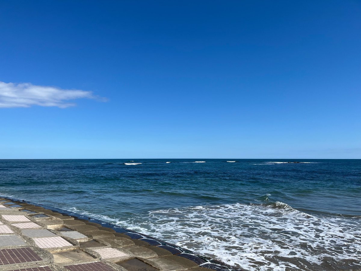 shidakao's tweet photo. 今海までの散歩から戻ってきました
今日は快晴
日差しは真夏だけど空気は秋
海も穏やかで気持ちいい海散歩でした
途中の道端にはアサガオの花が
もう昼前だし晴れてるのに
しっかり咲いてる
気温が低いからかな？
花びらに花粉付いてるけど
ライト付けて虫寄せしたのかな？ https://t.co/B28as0vPZS