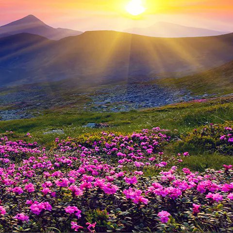 Shdirirofficial's tweet photo. "Sababaha keena Liibaanta Aduunyada "
    1. Maalintaada U Noolaw (Live in the Present)
    2. Rumayn Qaddarka (Contentment with Destiny)
    3. U Khayr-Samayn Dadka (Kindness to Others)
    4. Xuska Alle &amp; Ducada (Remembrance of God)
    5. Waji-Furnaan (Warmth &amp; Good Character) https://t.co/C2oAmWaJnp
