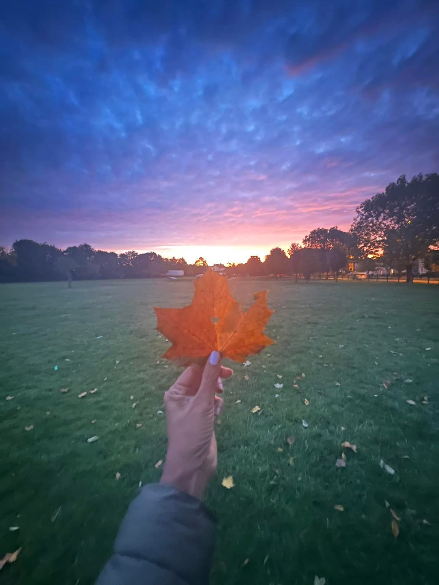 yasmine_oozeear's tweet photo. Things are beautiful 🍁🍂
If you L🧡vE them 
#WeekendReflection 
  Good morning deep souls 🍃🍂 https://t.co/iE4qqTT3Rc