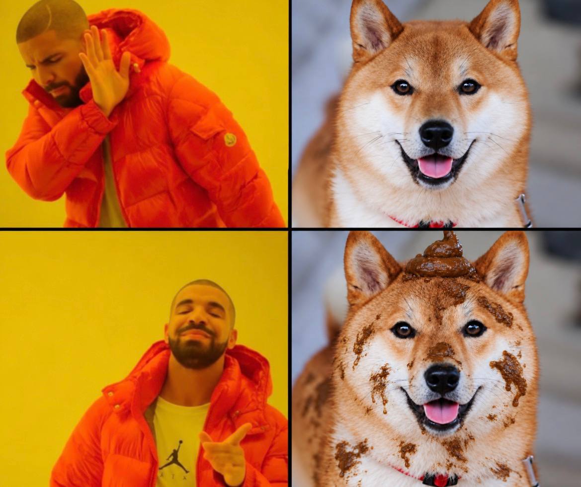 ShitainuSOL's tweet photo. Shiba Inu❌

Shita Inu✅ https://t.co/2la8ZRtN3t