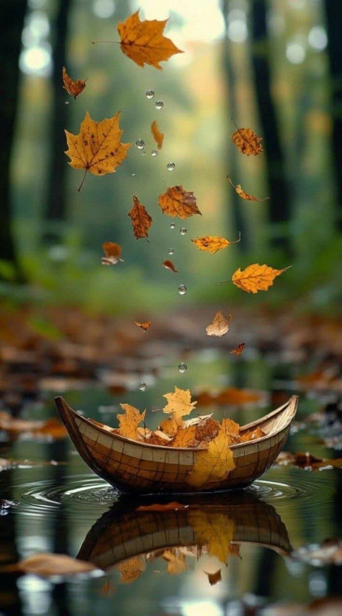 abdullah80sa's tweet photo. " مختصر الحياة.. إما أن توافق، 
أو تنافق، أو تفارق ..
ولكلٍّ ضريبته "..

صباح النور والسرور ..

#خليجي٢٧ 
#صباح_الخيـر https://t.co/WeqEJnEkDT