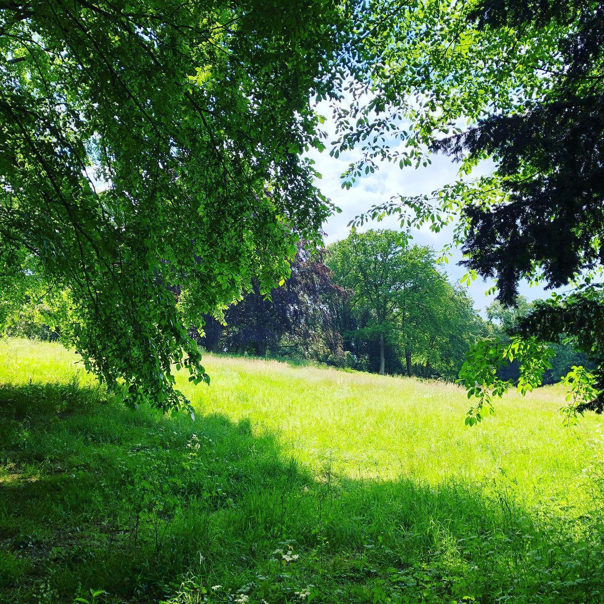 Jhowcol's tweet photo. Manchmal ist das Schöne so nah. https://t.co/Qg7Rb5q71P