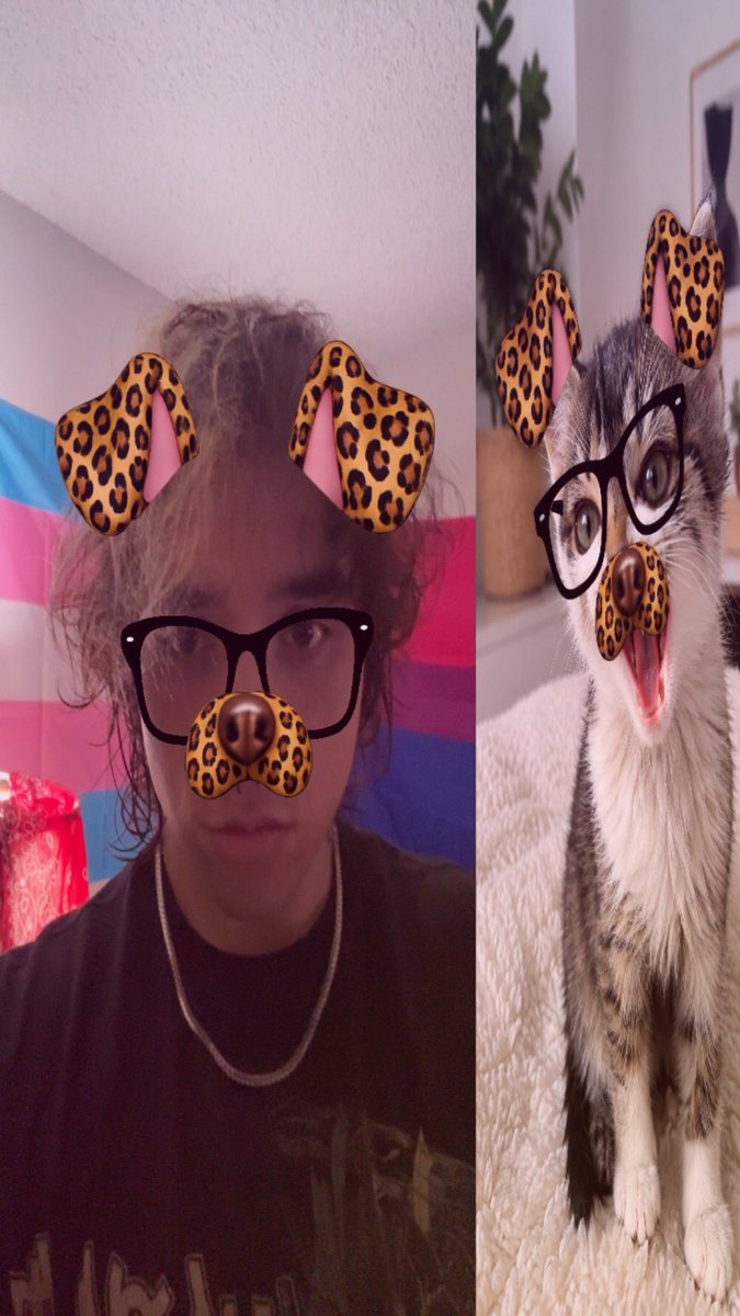_synebon's tweet photo. @ProbablyTilly Just had to let em know https://t.co/eAMyp3rFxm