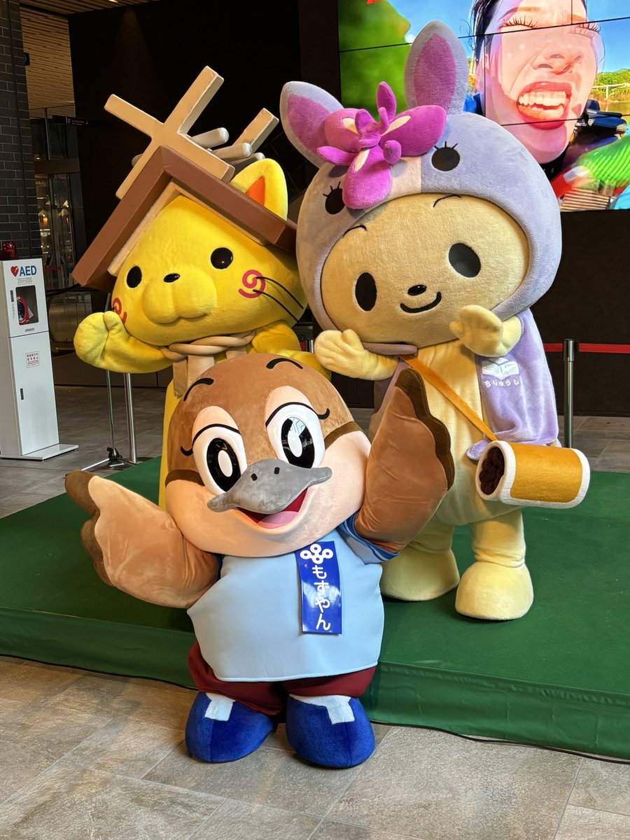 l9WpDYl7U7RqDp7's tweet photo. 愛知県名古屋市の
もずやんの大阪推し活!全国キャラバン
in名古屋に行ってきました😊
くまモンとしまねっことちりゅっぴに
会いに来ました‼️
 #もずやん #くまモン #しまねっこ #ちりゅっぴ https://t.co/moP0R7gmut