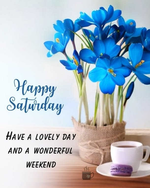 NnaGlobal's tweet photo. Good morning 🙏 https://t.co/oLH6GANSwN