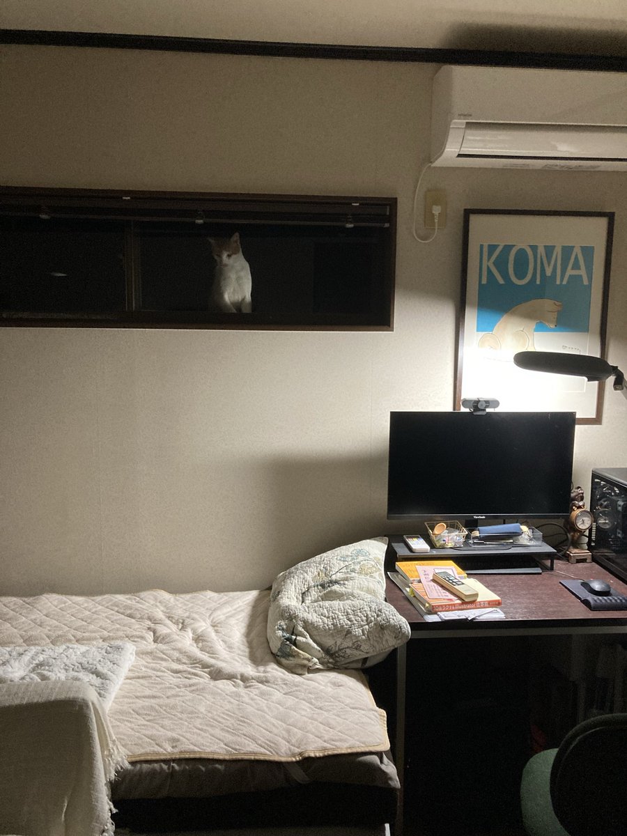 ametuchi6's tweet photo. ここ２階の私の部屋…。
下手な合成みたいに見えますが
リアルです。

#地域猫 https://t.co/makEne2OrO