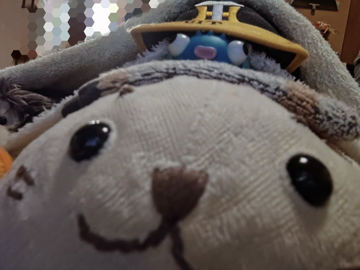 sirotanie's tweet photo. 🐯ごー　たいがーす🔥🔥
(セルフィーしろたにくん) https://t.co/LbrZJEvczB