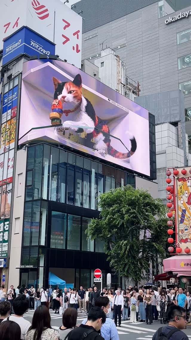 lukinhasbrendle's tweet photo. 3Dの猫 https://t.co/CdIsCkLNFW