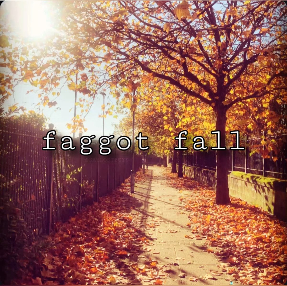 GAYLOSTBOYS's tweet photo. https://t.co/xM5jbeJeoY