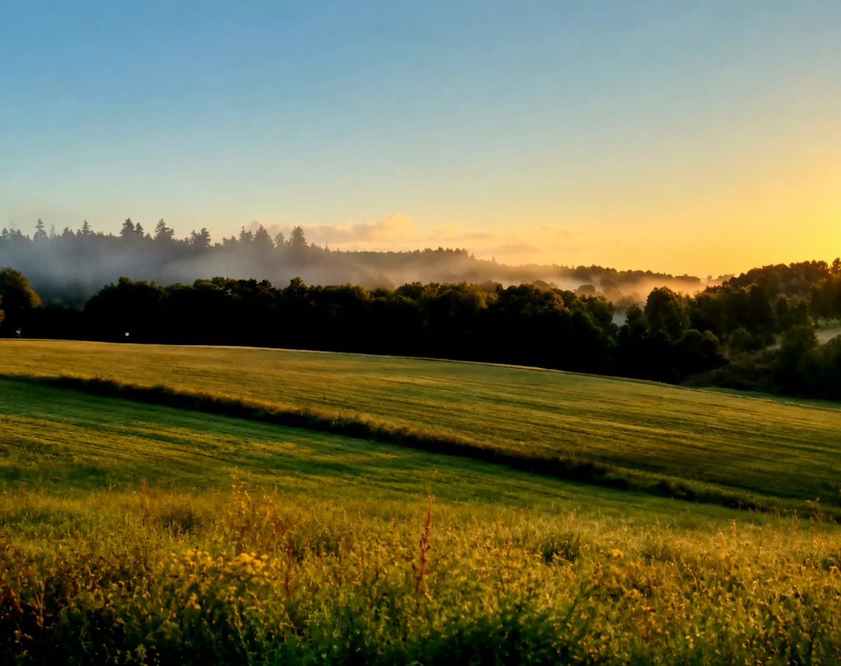 33683341's tweet photo. Foto taget på väg till jobbet. Summer vibes. https://t.co/pFkcjlNmNB