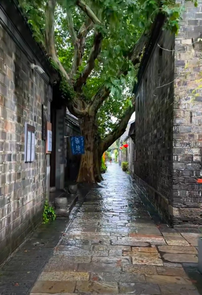 ijaeseon7's tweet photo. This rainy, misty trip makes me fall for the quiet charm of old alleys—soft sighs in the breeze feel like a sweet, lingering love for this laid-back, weather-kissed moment. https://t.co/CcKflPmWDm