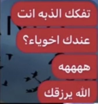 lx_022's tweet photo. احسبها اشهر ذبه! https://t.co/28Y9ahOd2Y