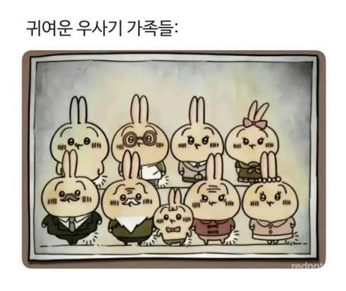 2eotia's tweet photo. 이거 뭐야 미친 개귀여움 https://t.co/2l72c7SDwH