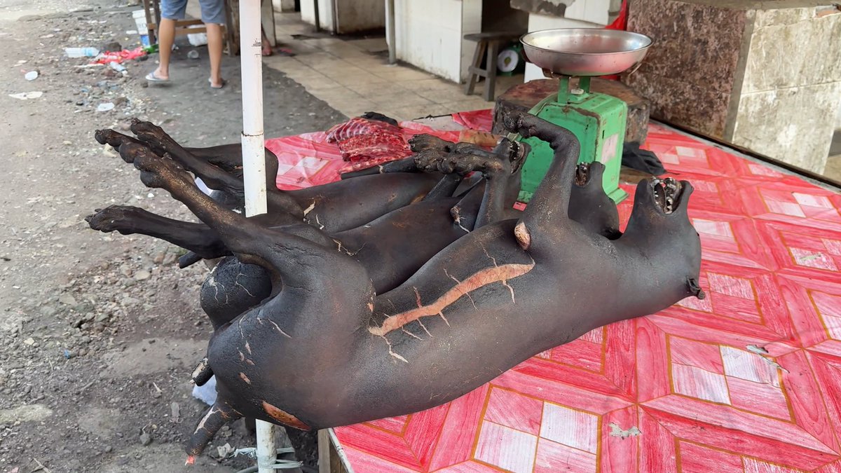 Two blackened, smoked dog carcasses lie splayed on a red-patterned cloth at an outdoor market stall in Indonesia, displayed beside a green mechanical scale and a piece of raw red meat. The image directly illustrates the caption's subject—Fatih Koparan's documentation of dog meat being sold openly as food.