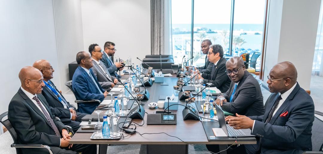 hawelti's tweet photo. #Eritrea's senior delegation composed of Mr. Hagos Gebrehiwet, Head of Economic Affairs; and, Mr. Nesredin Mohammed Saleh, Minister of Trade and Industry, is participating at the Alamien Business Forum hosted by Egypt from 2 to 3 October this week.

Participants in the Forum include: Heads of State and Government Representatives; senior leaders from leading international and regional financial institutions; as well as key actors driving transformative change across Africa's most critical sectors - from infrastructure, trade and critical minerals to digital innovation, health markets and emerging industries.  

Eritea's delegation also met yesterday with Dr. George Elombi, the President and Chariman of the Board of Directors of African Export-Import Bank (Afreximbank).  

The discussions centered on existing financial services between Eritrean Banks and Afreximbank.   The two sides agreed to expand and bolster the prevailing smooth cooperation and embark on new financial services for various projects.
