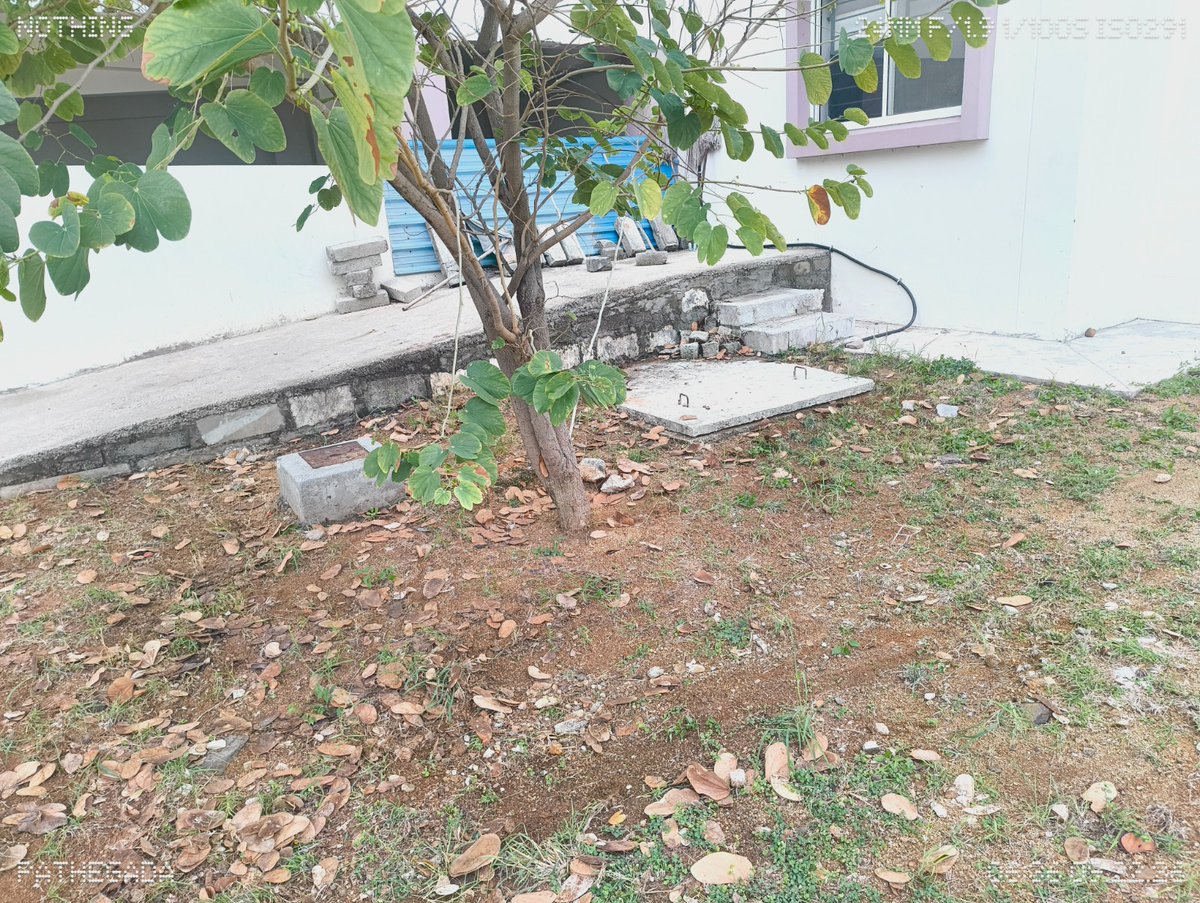 CiatCtr85137's tweet photo. A cleanliness drive was conducted under #SpecialCampaign6 at CIATS, CRPF, Kalikiri on 03/10/2026 
#SpecialCampaign6 #SHS2026 #SwachhataHiSeva2026 https://t.co/pasWBl4ySv