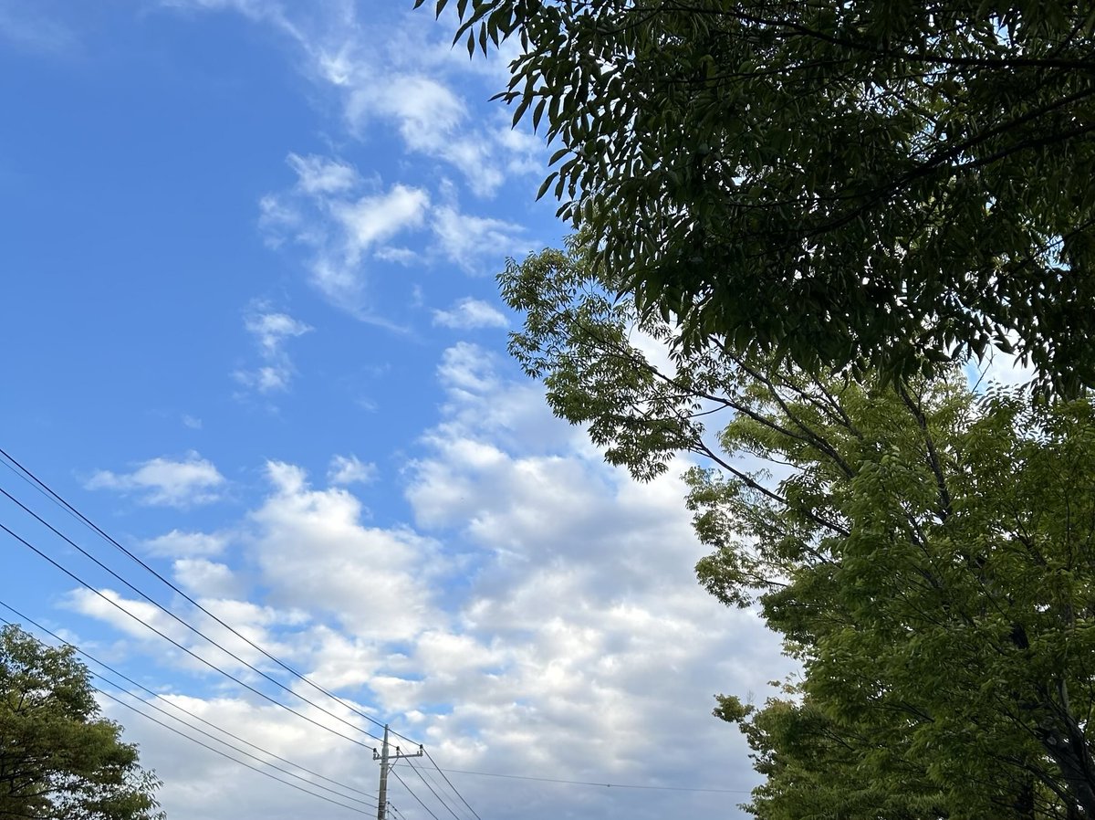 hatakatu2020's tweet photo. 秋の空だ！

#詩
#移住
#還暦
#田舎暮らし
#スローライフ
#リモートワーク https://t.co/ggWdLXoAWI