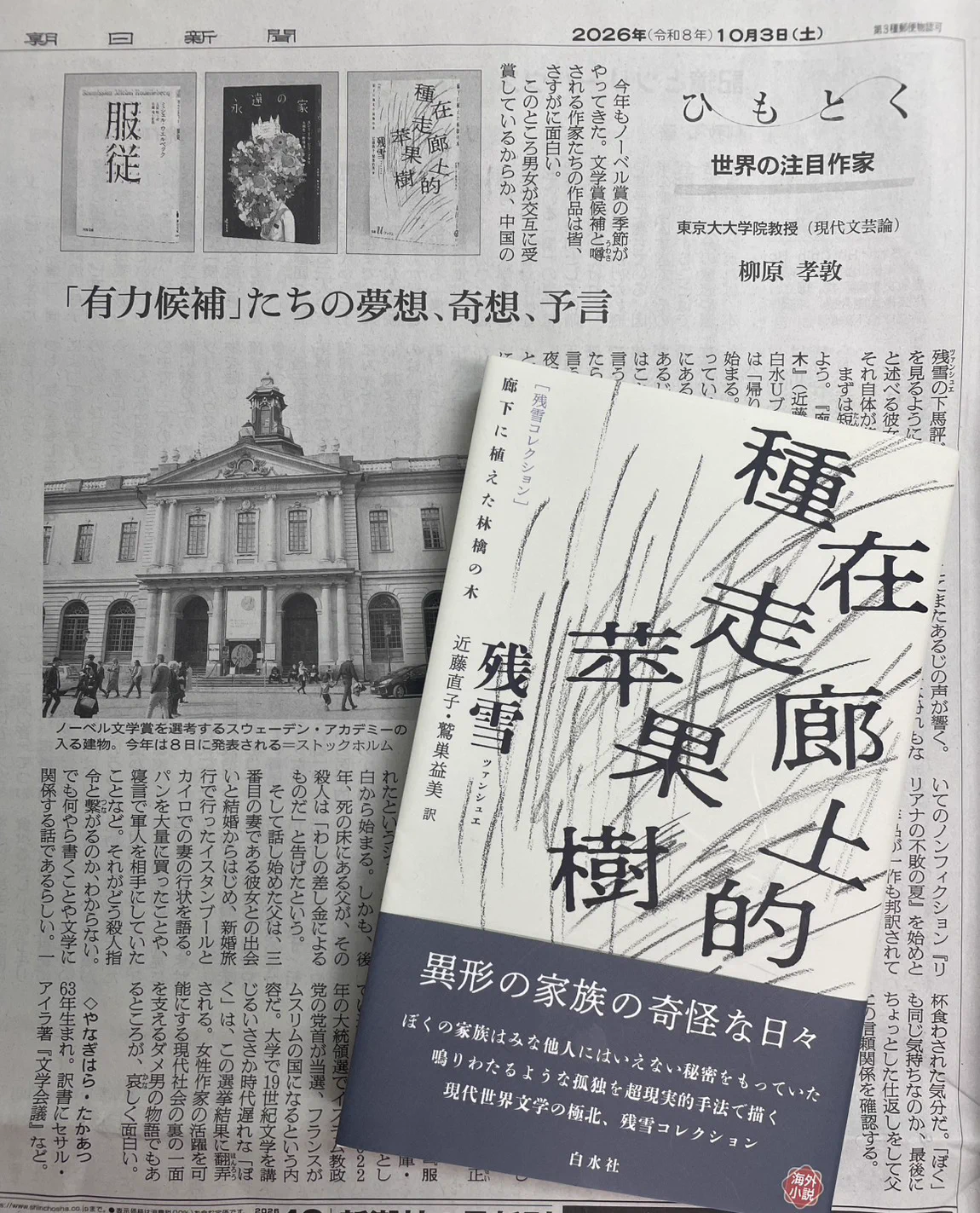 白水社 on X: 