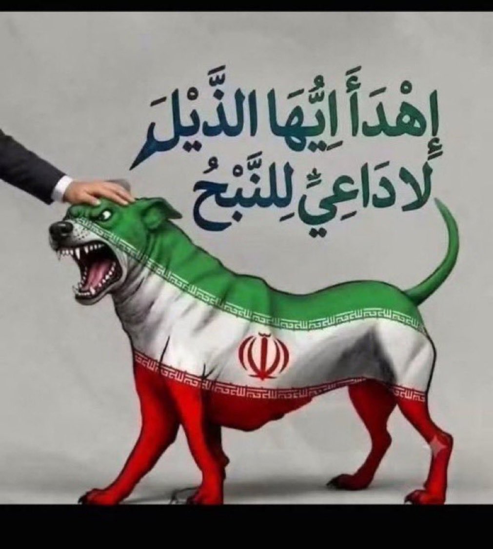 walidaer's tweet photo. @Boshra_x7 https://t.co/UoHy0E1waC