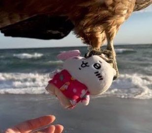 ello0u0's tweet photo. not oikawa getting chiikawaed 😭
treekawa 🤝 chiikawa both taken away by birds https://t.co/wQExU7dDwG