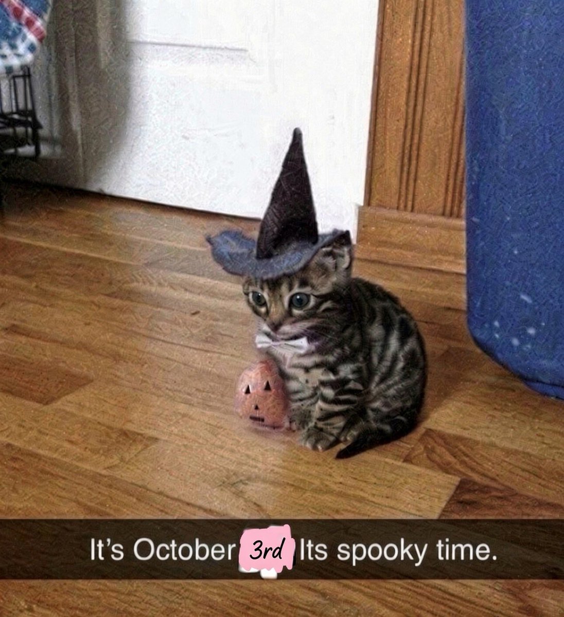 B3anCat's tweet photo. 28 days remain https://t.co/snK2q8tZ5X