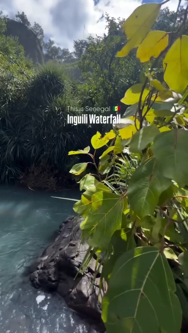 vi_mts's tweet photo. À Kédougou, la cascade d’Inguili révèle un Sénégal sauvage et préservé. Roches, végétation luxuriante et eaux cristallines: un havre sacré chez les Bédiks, accessible après 1h30 de marche. https://t.co/MeyBmPU0kg
