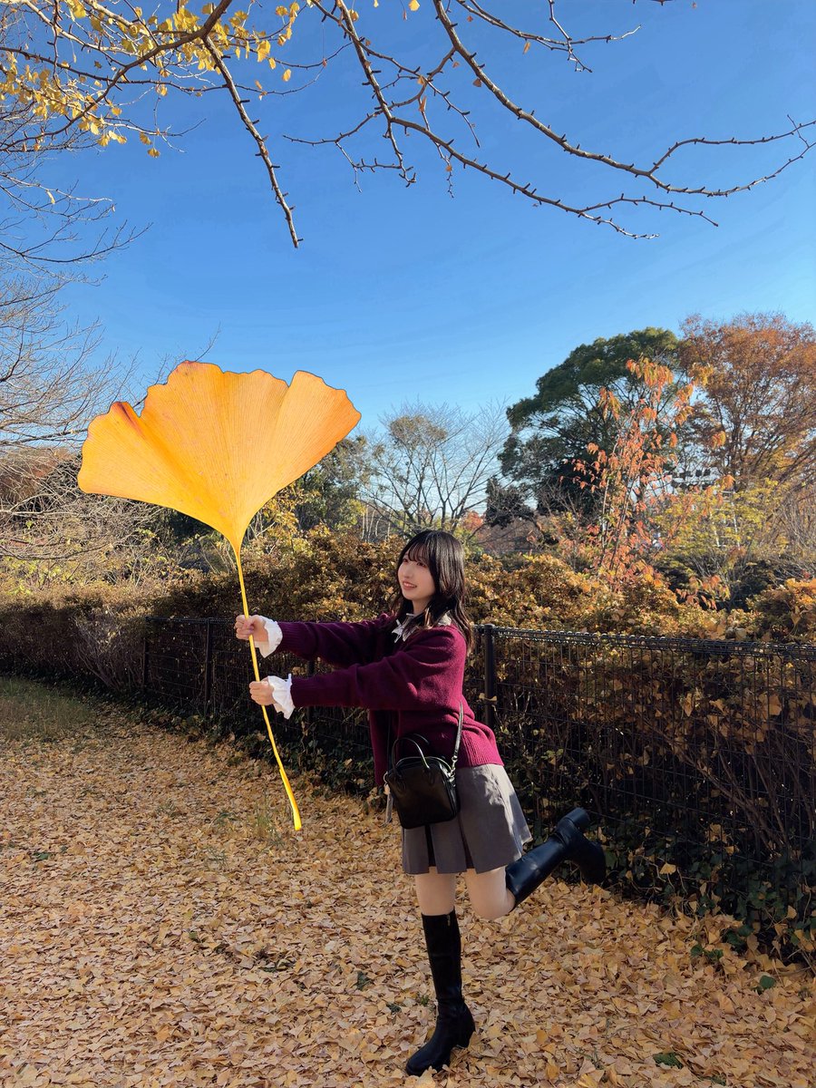 3zu1ro__'s tweet photo. 今年もこの季節が、くる、、！ https://t.co/BXHwxGRQET