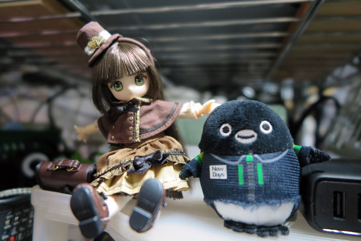sio3doll's tweet photo. ふと過去撮影写真よりショコラーラちゃんとSuicaのペンギンちゃん。
どちらも新しい人形をオー���ーするか現在悩ませてる二体ですね😂ドリバドラーラーちゃんはボンネット衣装最高だし猫ラーラーOUTFITも注文出来るしで見逃すわけにはいかない🫨ぺんぎんさんは転生先ブランドでまた会えるから悩みます😵‍💫 https://t.co/czC0jfi0Ng
