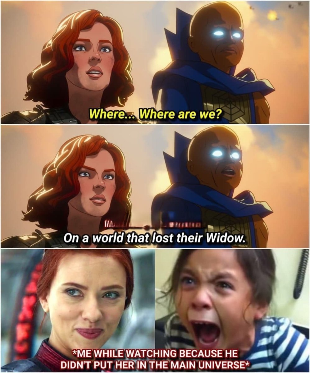 fwmalacyafeez's tweet photo. I dunno man,this Natasha lost her whole world to Ultron, while Earth-199999 Natasha died for the Blip https://t.co/n5O8EShOO7