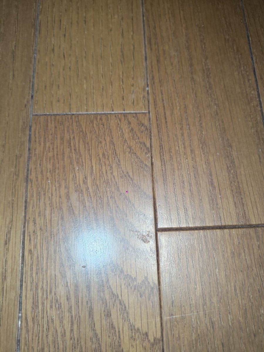 alchusakeks's tweet photo. わ〜〜1.3mmのメレ落としたー！！
流石に捜索無理かと思ったら色味のお陰で見つかったーー！！！！！😳
床の汚さは見ないでください！！！笑 https://t.co/9jORo7h5z6