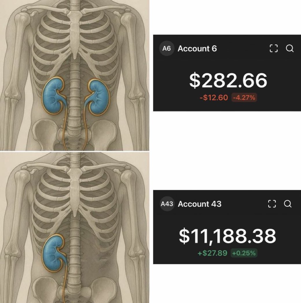 freshguy789857's tweet photo. Easy way to become rich; https://t.co/MOedt4p1Kh