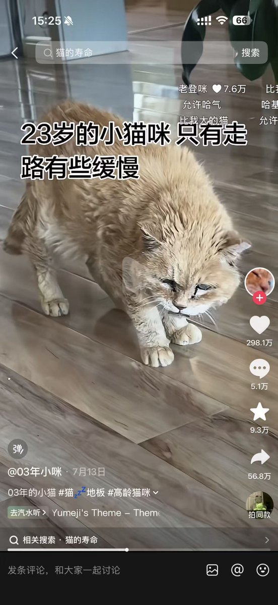 ankur1216's tweet photo. 我发现了一只03年的猫 如今依旧23岁 全网也没有比他老的猫吧 在抖音上也非常火视频都超几百万点赞和转发
让我们用QQQB底池发送  哈基咪底池太不稳定了 https://t.co/x8Cn9TRzrj